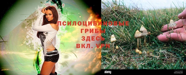 дурь Володарск