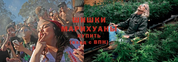 дурь Володарск